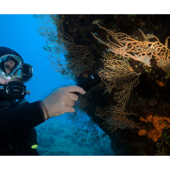 Latarka nurkowa Orca Torch D580 (4) Latarka nurkowa Orca Torch D580 (4)