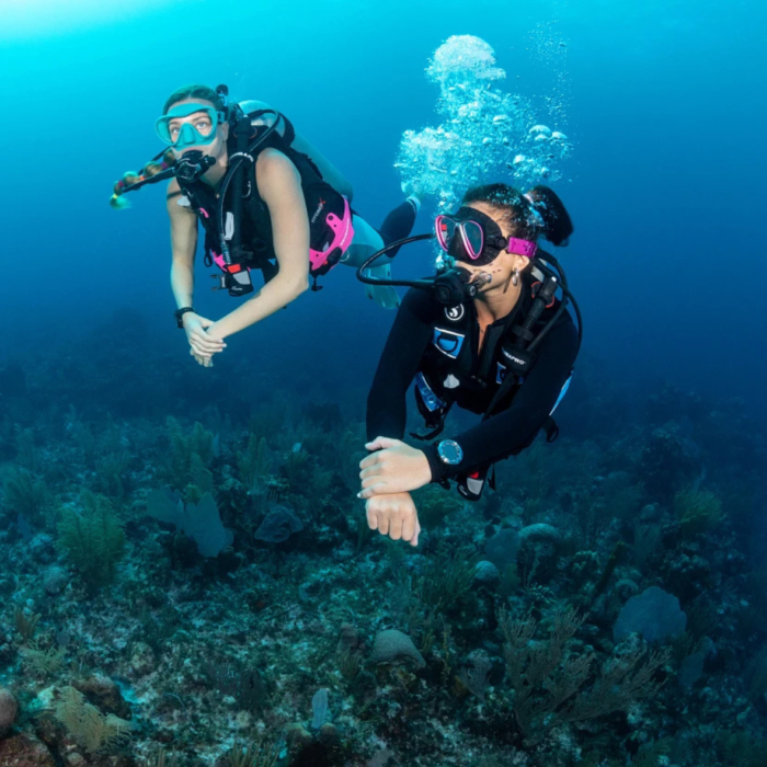 Kamizelka neoprenowa Scubapro Everflex Yulex 53 mm damska Kamizelka neoprenowa Scubapro Everflex Yulex 53 mm damska