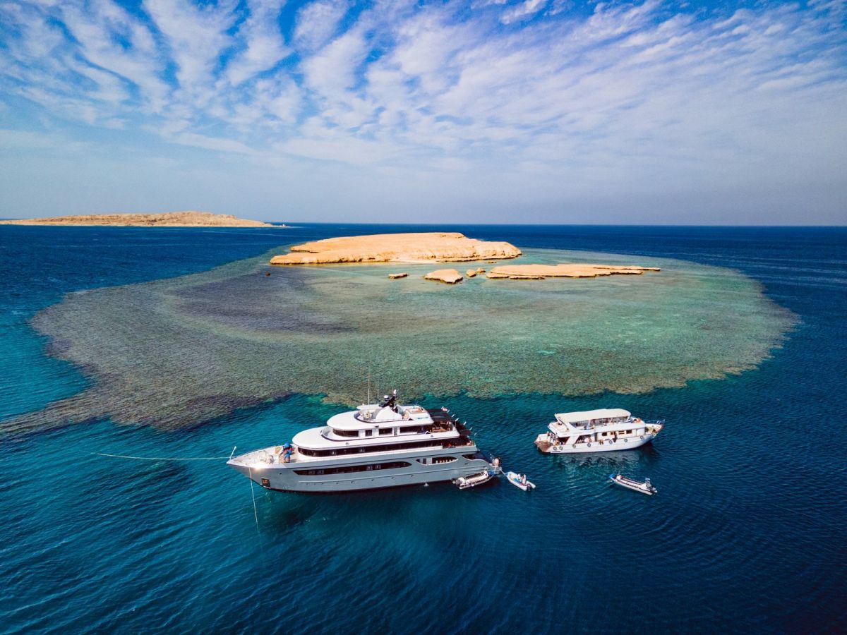 Safari nurkowe w Egipcie